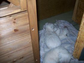 25042012 t-wurf 004.jpg